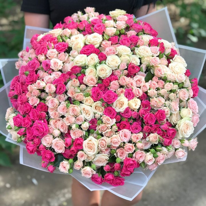 101 кустовая роза в Орле