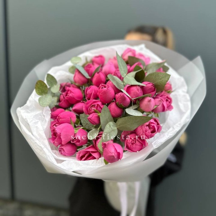 17 Мисти бабблс в Орле