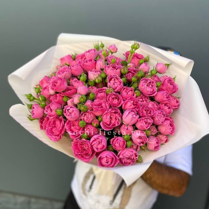 Мисти Баблс 35шт в Орле