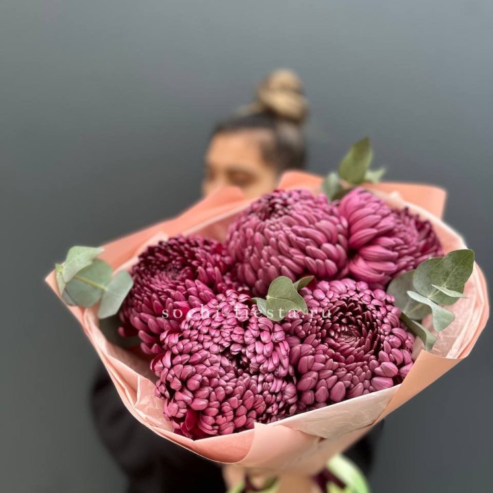 Хризантемы  Бигуди  в Орле