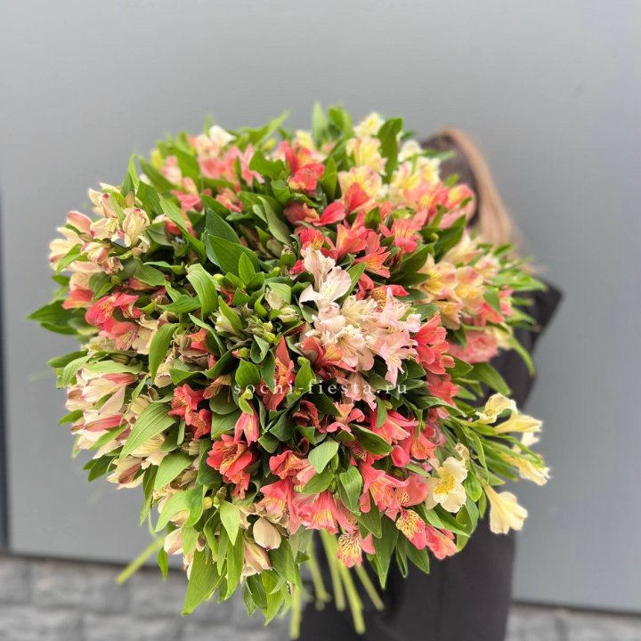 51 альстромерия в Орле