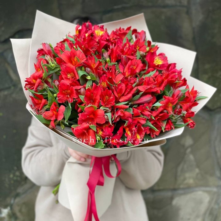 51 альстромерия в Орле