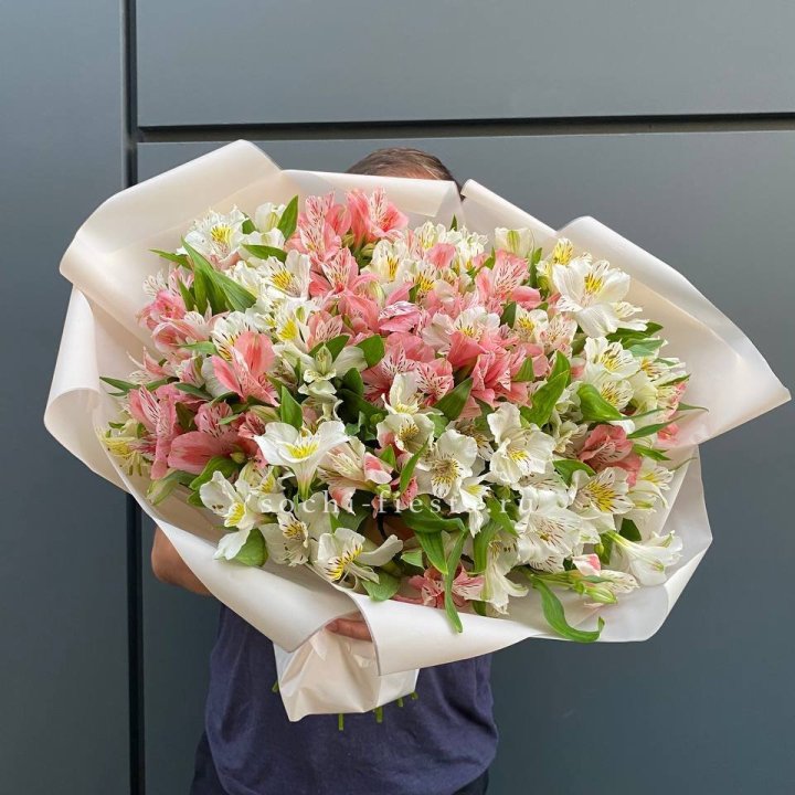 39 альстромерий в Орле