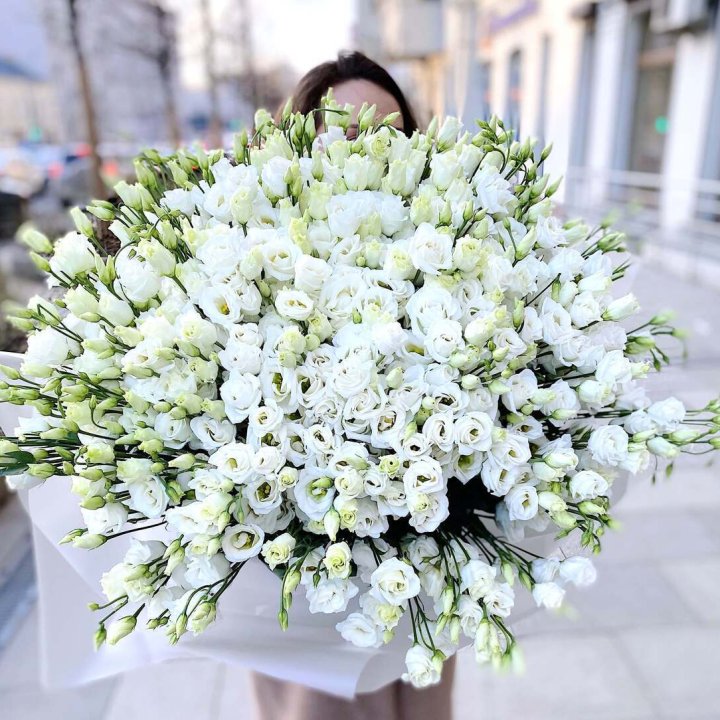 101 белая эустома в Орле