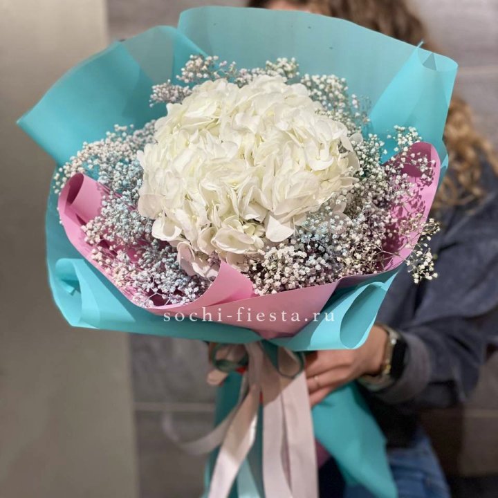 Гортензия "Райдов" в Орле