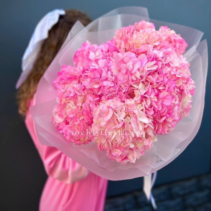 7 ярко розовых гортензий в Орле