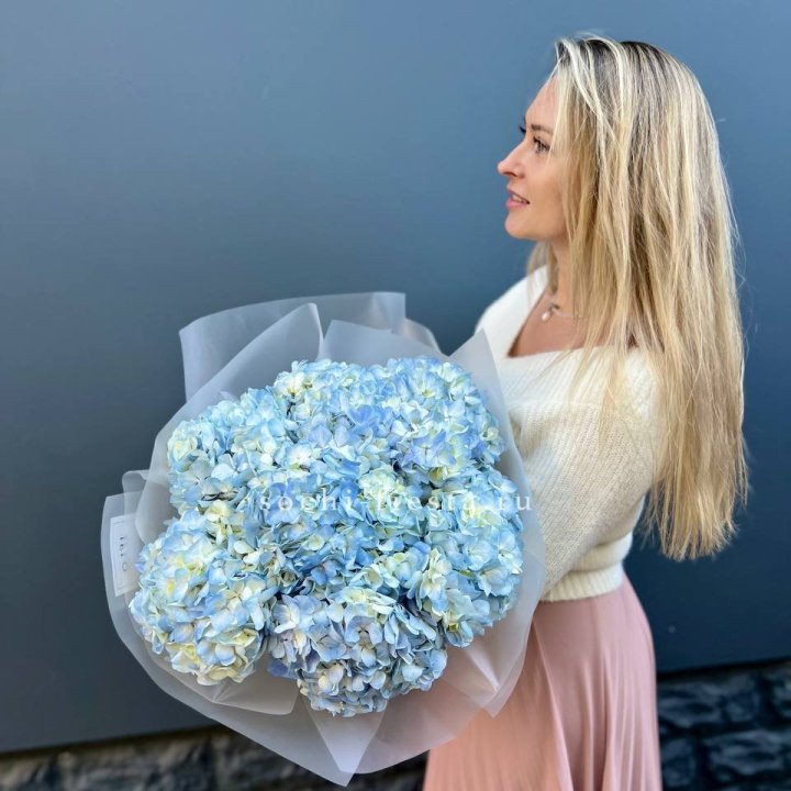 7 голубых гортензий в Орле