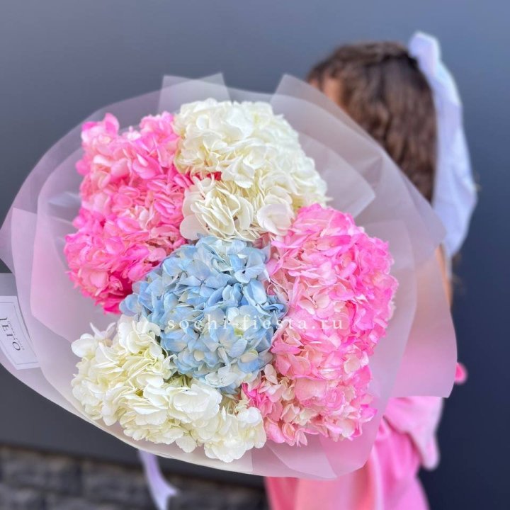 7 гортензий микс в Орле