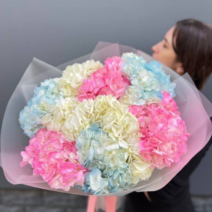 9 гортензий микс в Орле