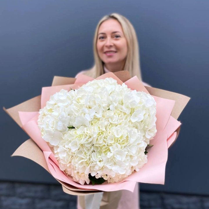 Гортензия белая в Орле