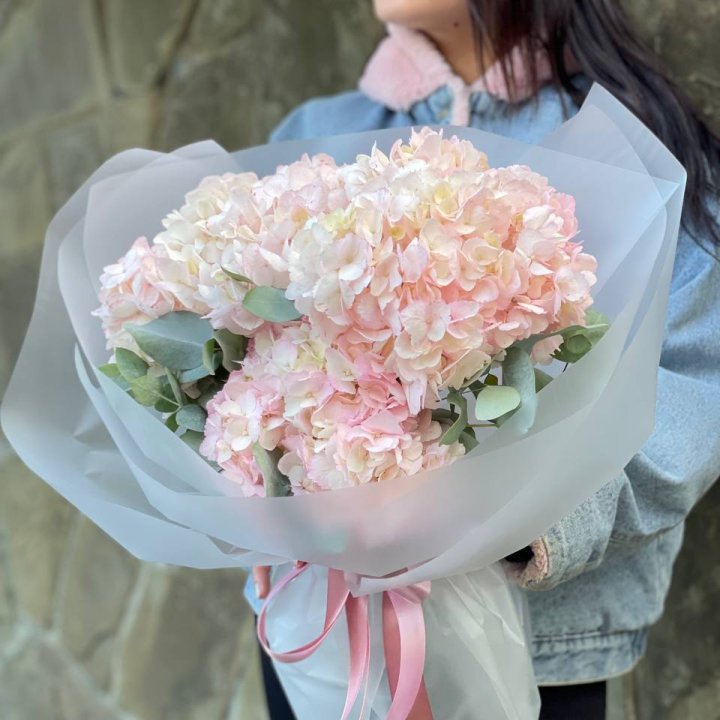 5 розовых гортензий в Орле