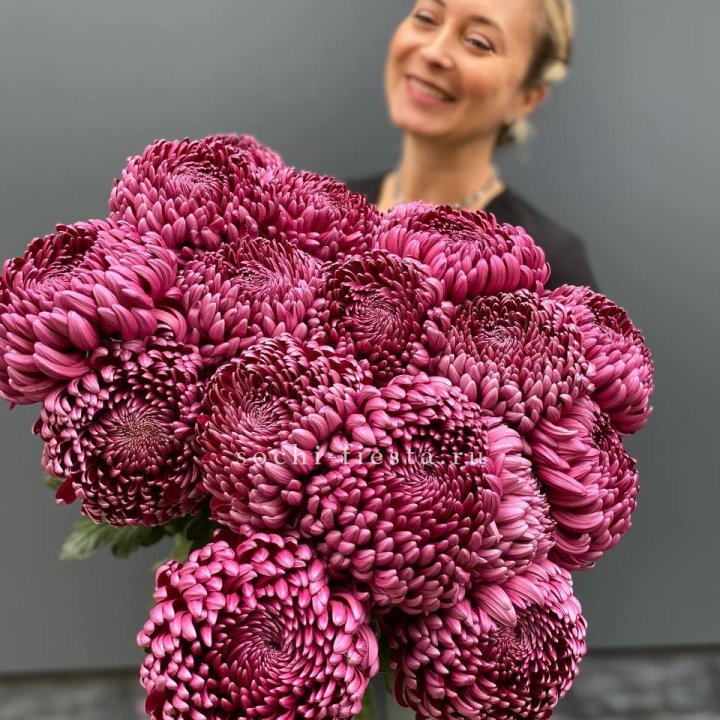 Охапка хризантем Бигуди в Орле