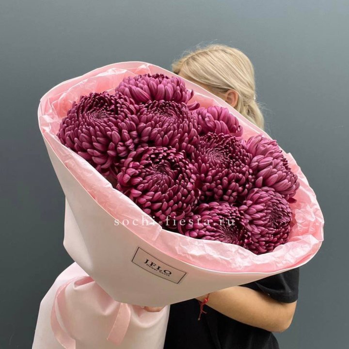 9 хризантем бигуди в Орле