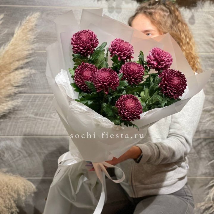 Хризантемы Бигуди в Орле