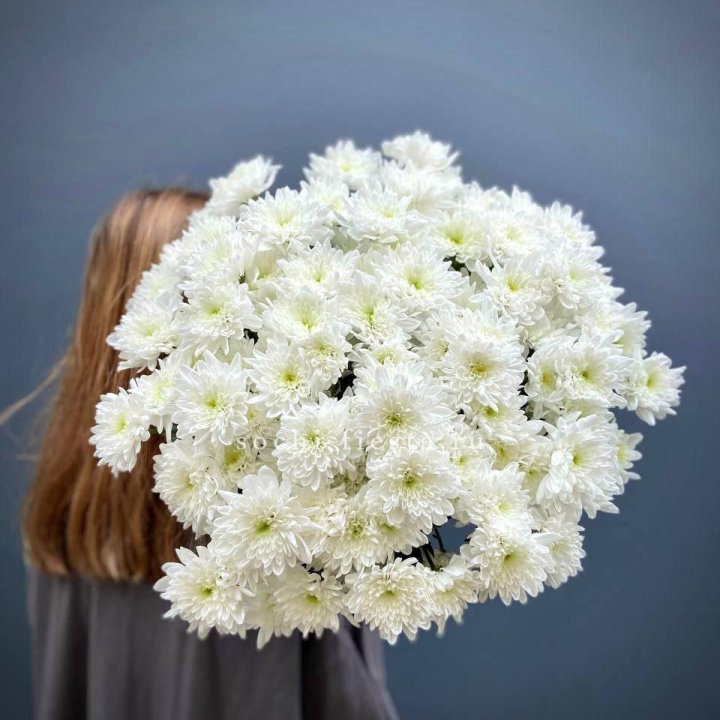 Охапка Хризантемы кустовой в Орле