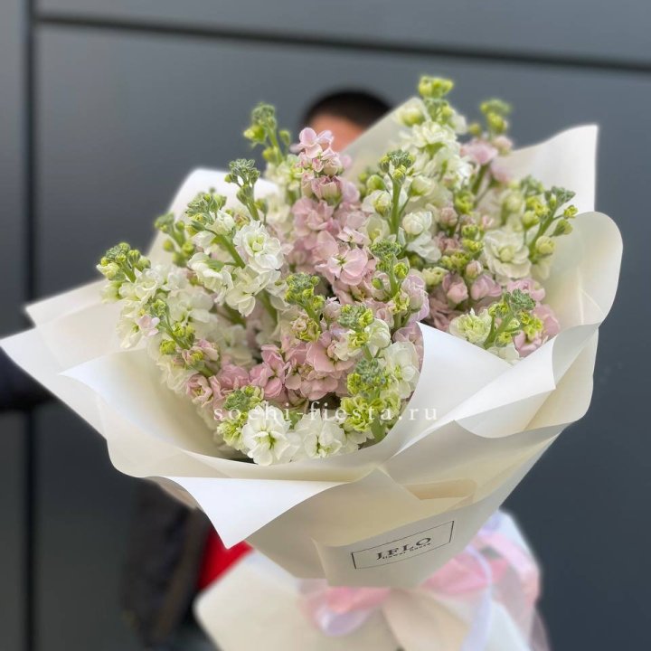 29 маттиол  в Орле