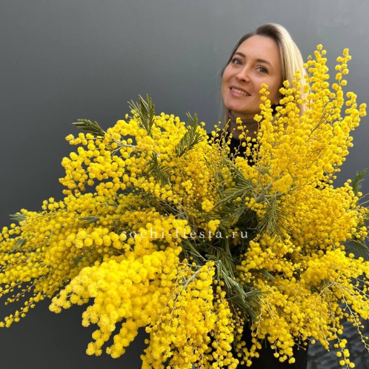 Охапка мимозы №2 в Орле