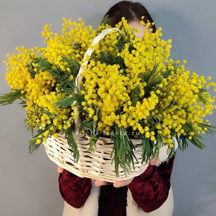 Корзина ароматной мимозы в Орле