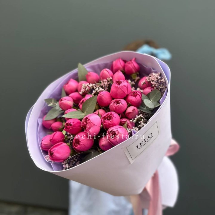 Мисти Баблс  "Кремиси" в Орле