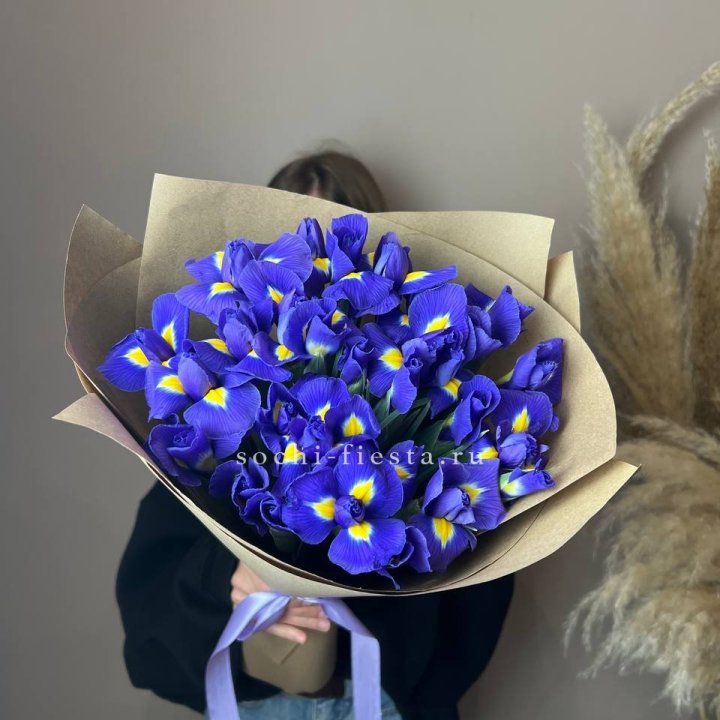 Ирисы в Орле