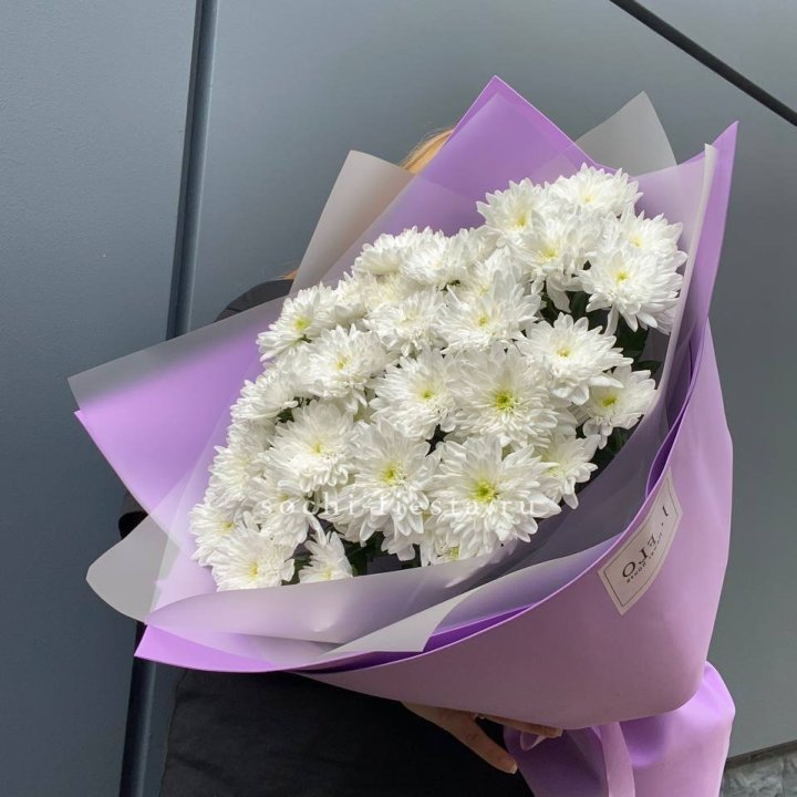  7 хризантем  в Орле