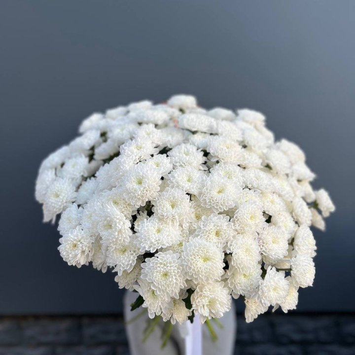  25 хризантем белых в Орле