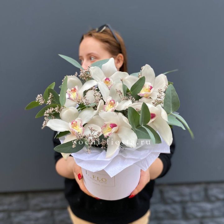 7 орхидей в боксе в Орле