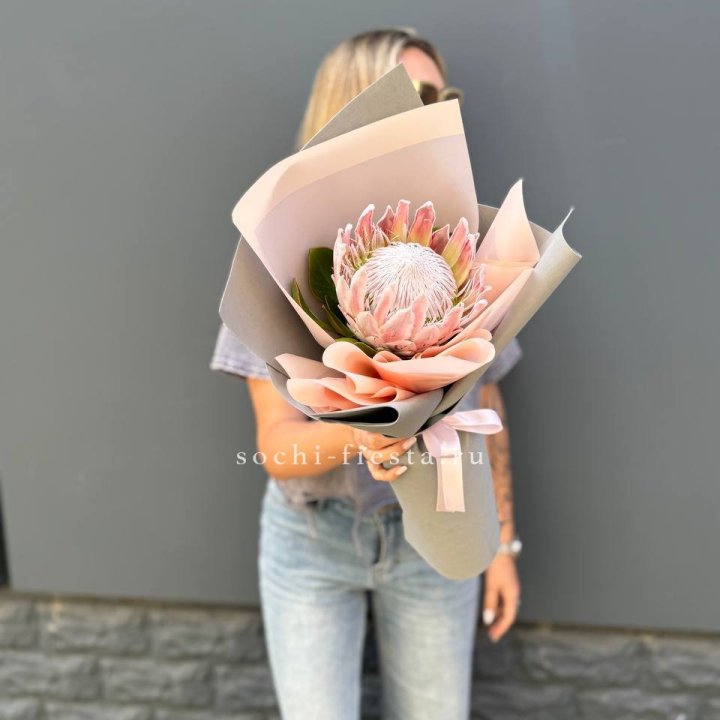 Протея мини  в Орле