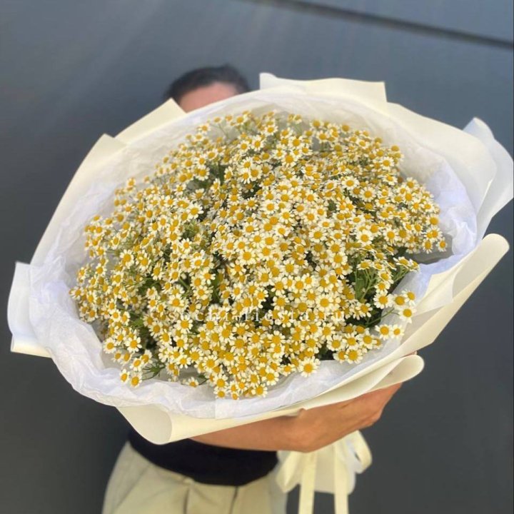 Букет ромашек №2 в Орле