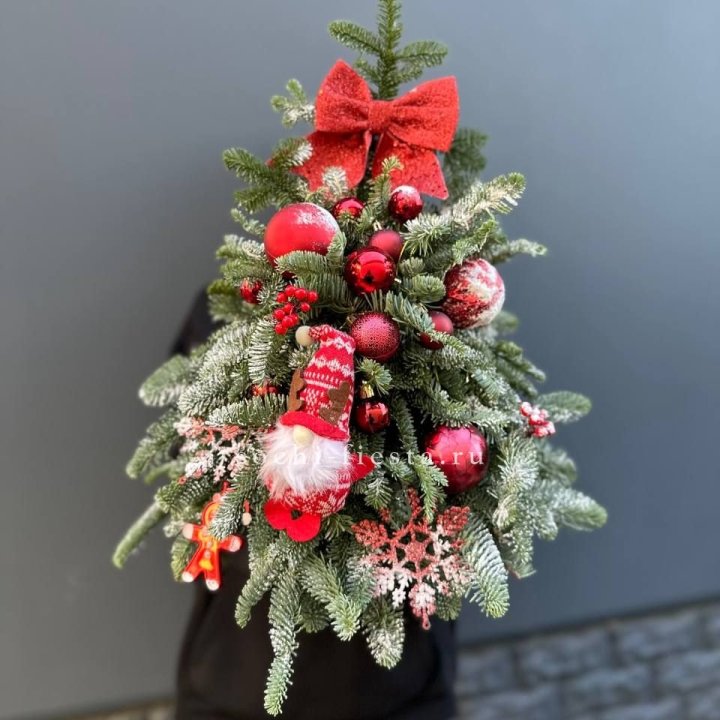 Новогодняя елочка "Ред" в Орле