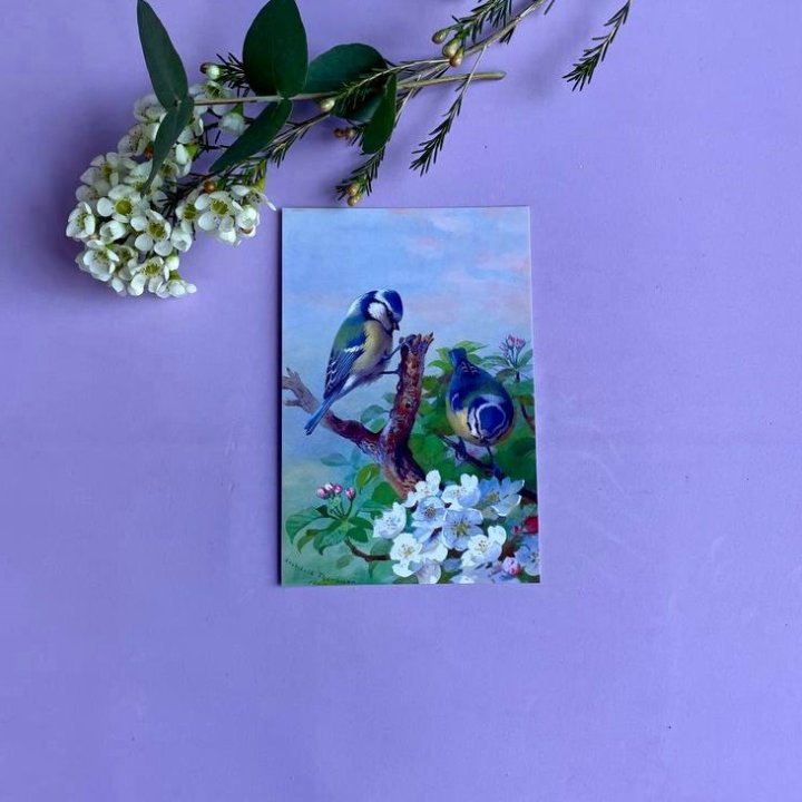 Открытка к букету "Птицы" в Орле