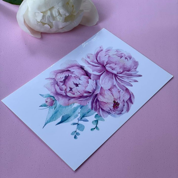 Открытка к букету "Пионы" в Орле