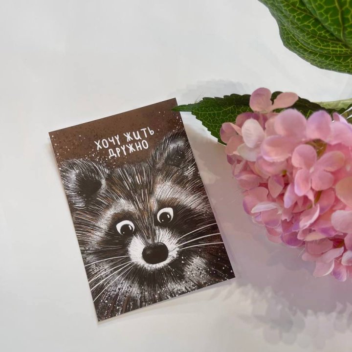 Открытка к букету "Енотик" в Орле