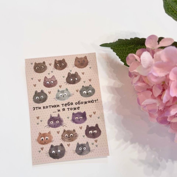 Открытка к букету "Котики" в Орле