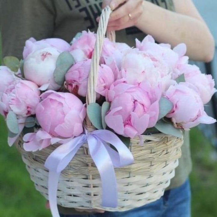 15 пионов в корзине в Орле