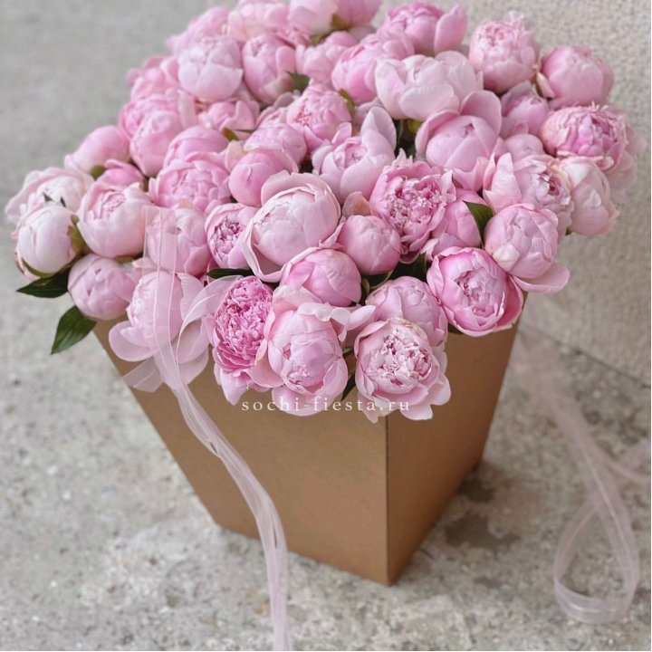 49 пионов в крафт коробке в Орле