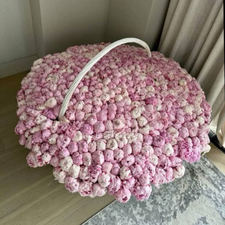 Корзина 555 пионов в Орле