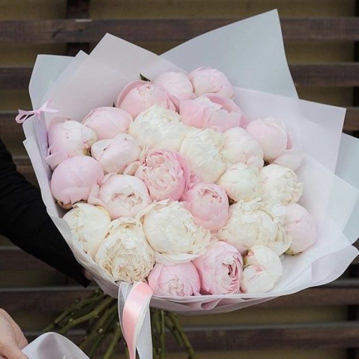 29 пионов в Орле