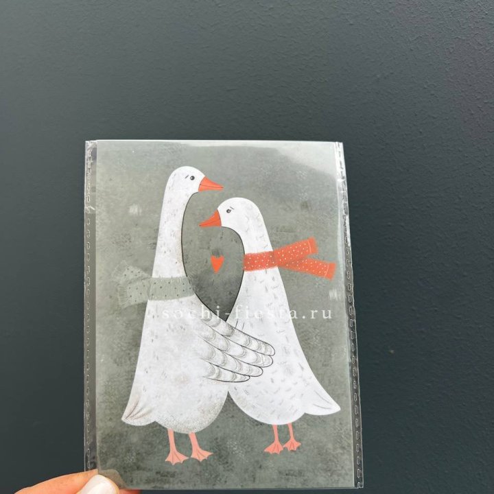 Открытка к букету "Гуси” в Орле