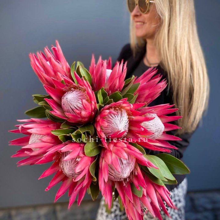 Протея штучно в Орле