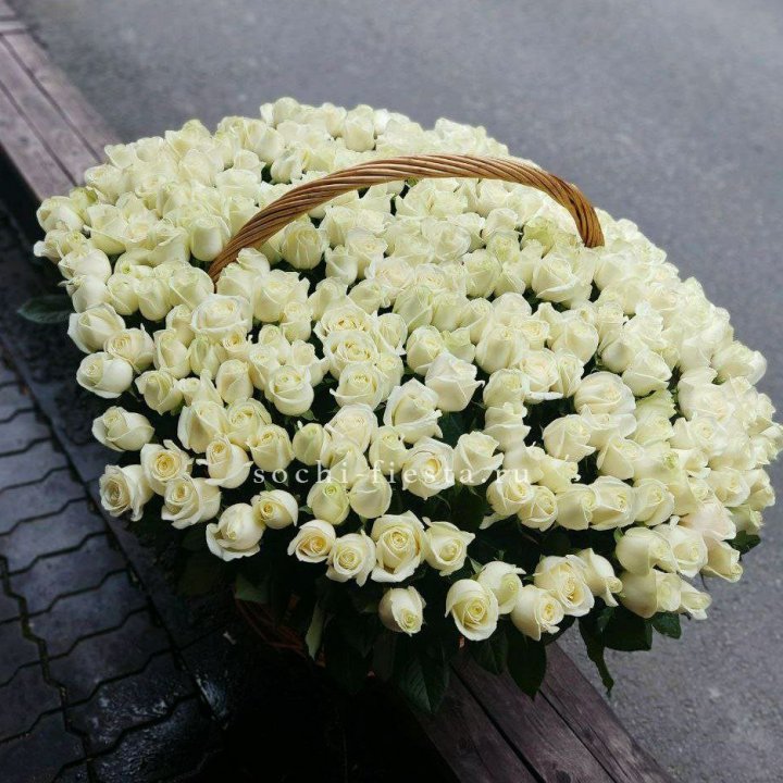 303 розы в корзине в Орле