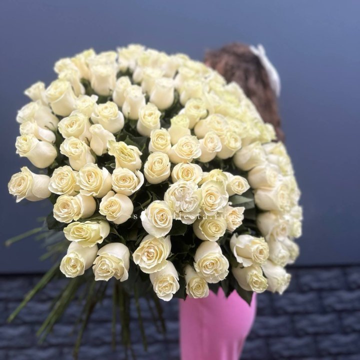 101 белая высокая импортная роза под ленту в Орле