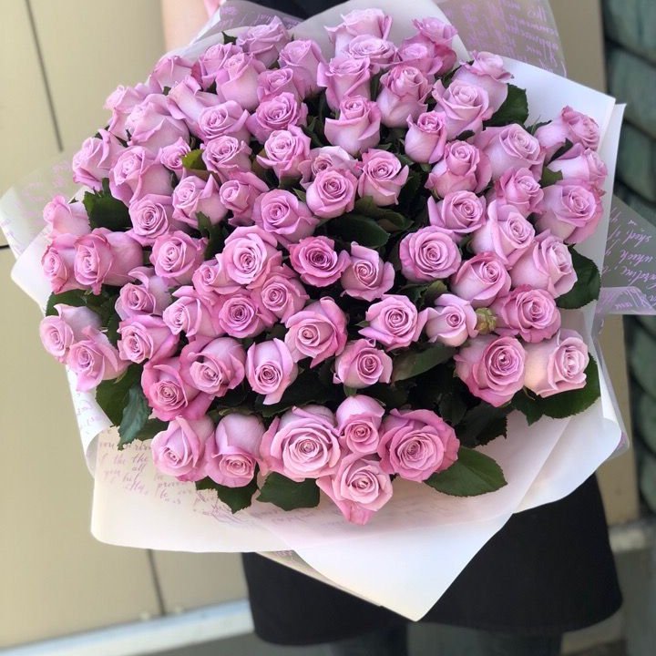 71 розовая роза "Маритим" в Орле