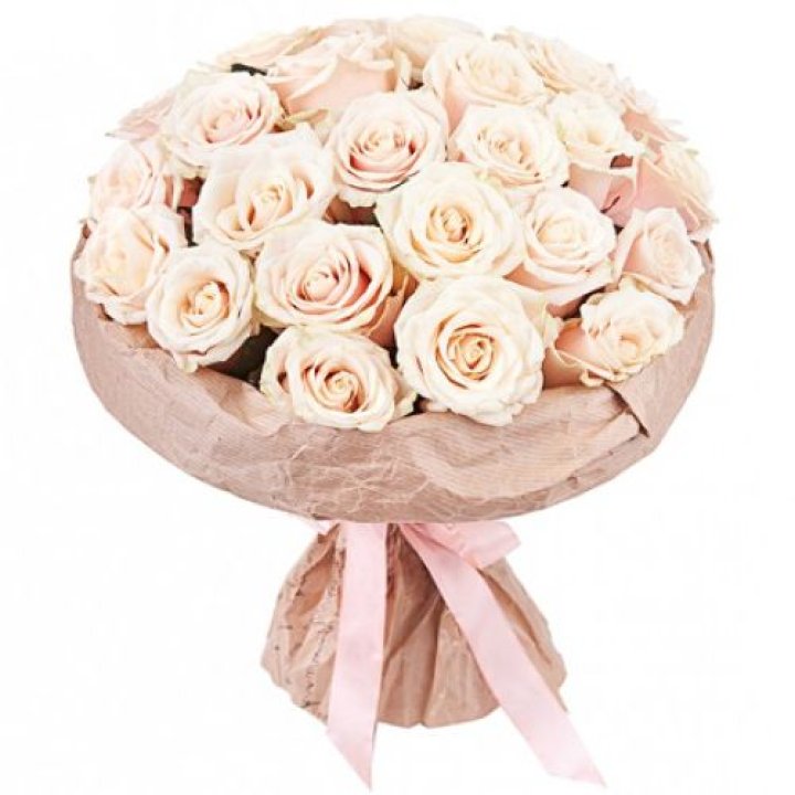 25 кремовых роз "Craft" в Орле