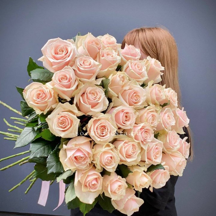 35 кремовых высоких роз в Орле