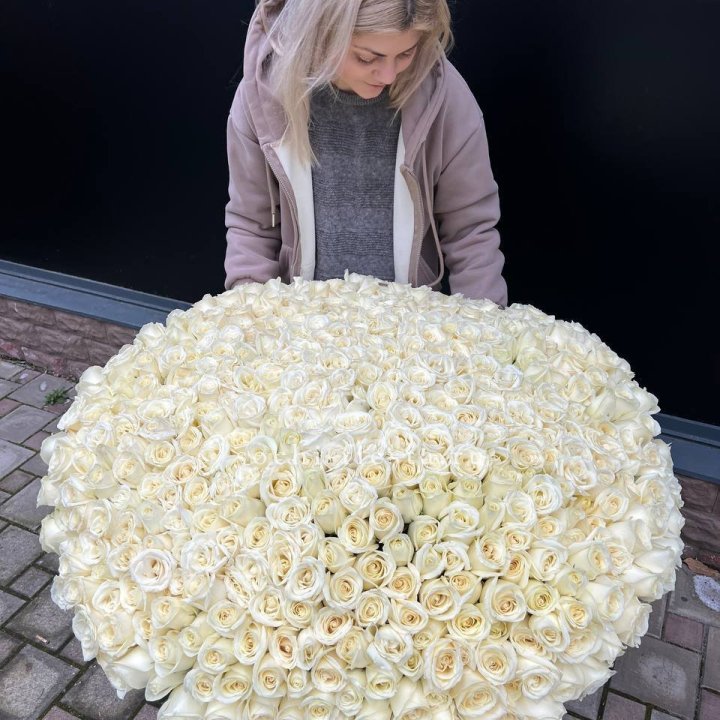 501 белая роза в корзине в Орле