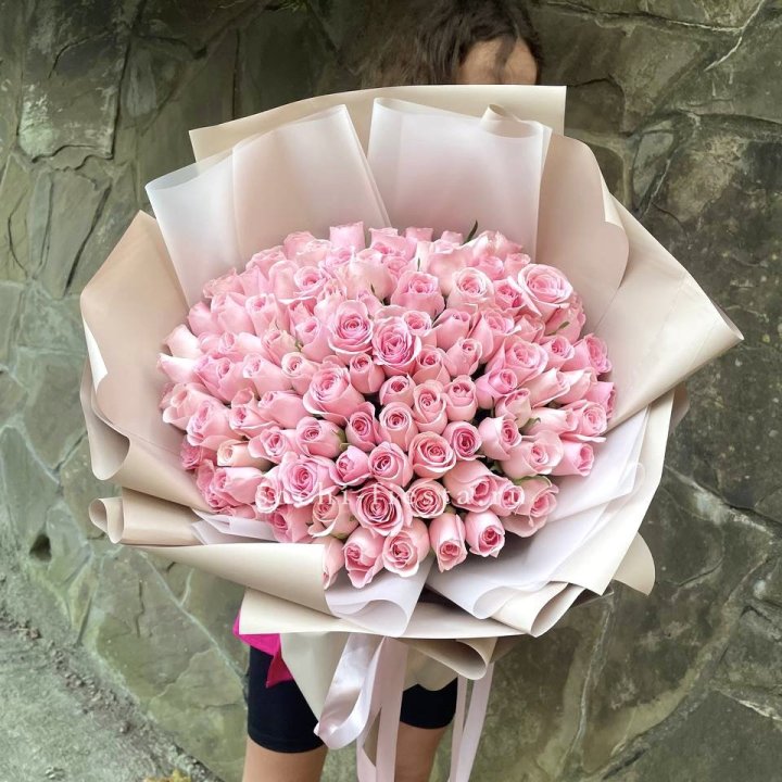 101 нежно-розовая роза Каролина  в Орле