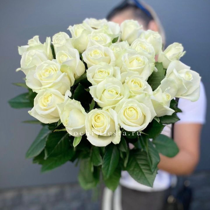 Голландские розы белые 25 в Орле