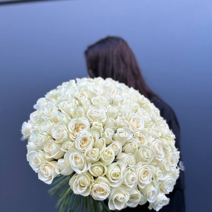 Охапка из 101 белой розы  в Орле