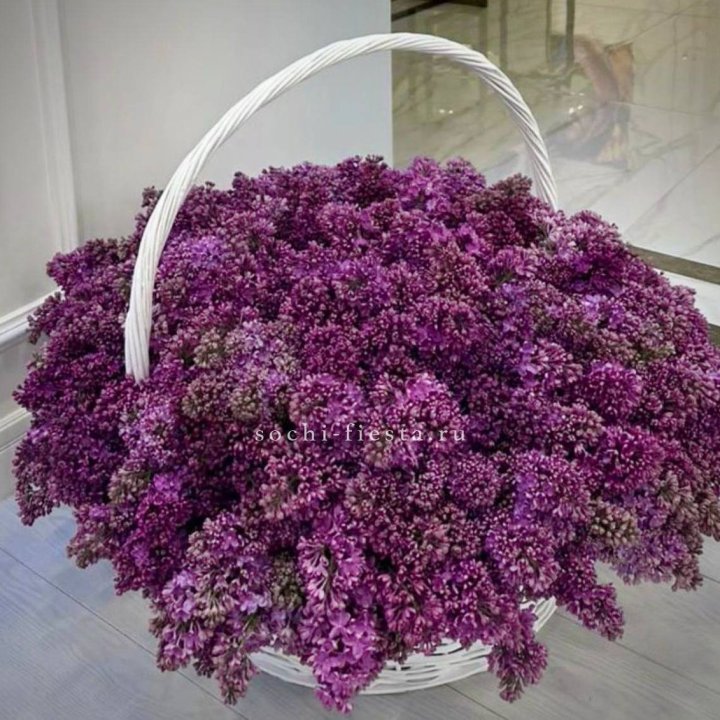 Корзина сирени в Орле